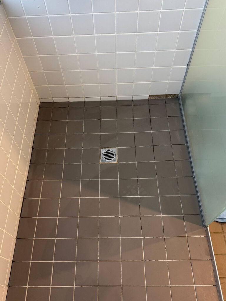 Shower Repair